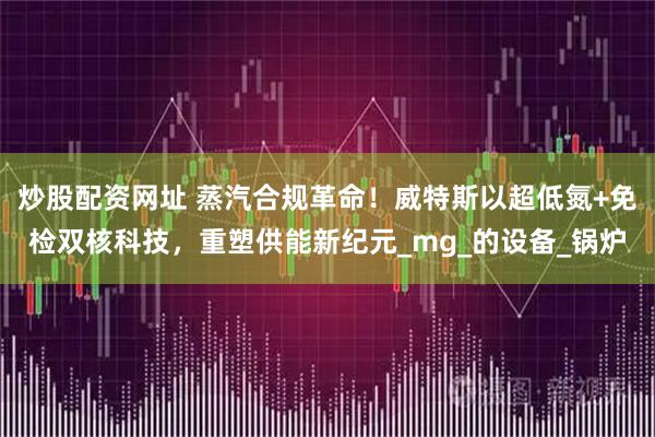 炒股配资网址 蒸汽合规革命！威特斯以超低氮+免检双核科技，重塑供能新纪元_mg_的设备_锅炉