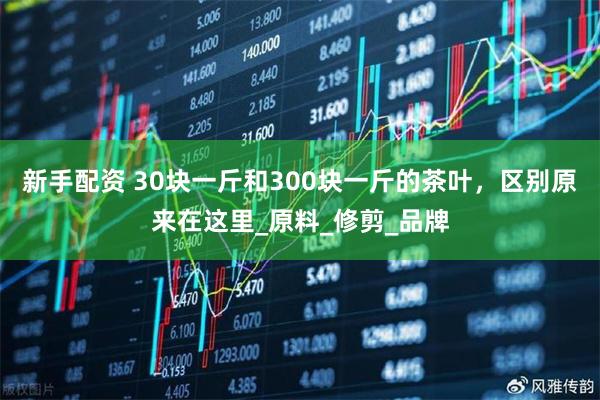 新手配资 30块一斤和300块一斤的茶叶，区别原来在这里_原料_修剪_品牌