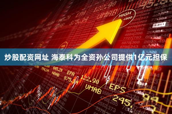 炒股配资网址 海泰科为全资孙公司提供1亿元担保