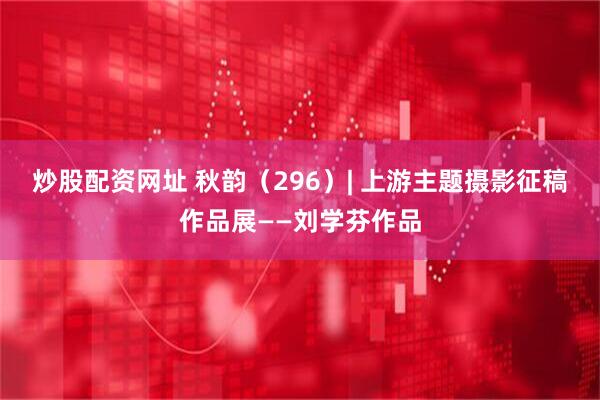炒股配资网址 秋韵（296）| 上游主题摄影征稿作品展——刘学芬作品